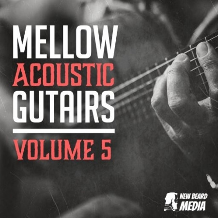 New Beard Media Mellow Acoustic Guitars Vol.5 WAV